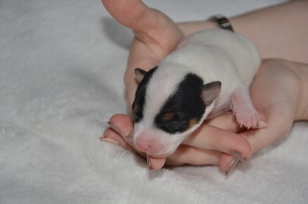 DAISY: "...an mir kann man sich kaum satt sehen..."